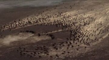 Turan Taktiği Nedir, Nasıl Yapılırdı? Turan Taktiği Nedir, Nasıl Yapılırdı?